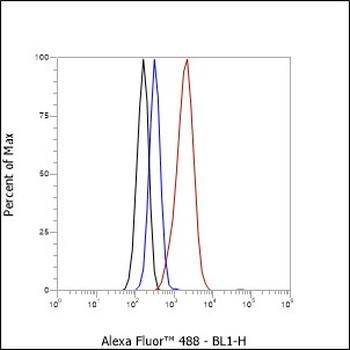 TROP2 Recombinant Rabbit Monoclonal Antibody
