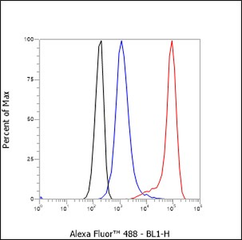 TIA1 Recombinant Rabbit Monoclonal Antibody
