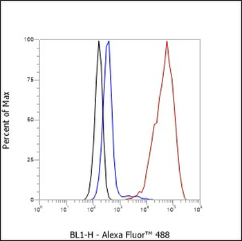 Calpastatin Recombinant Rabbit Monoclonal Antibody