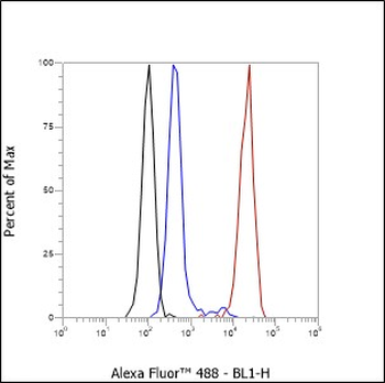 LY75 Recombinant Rabbit Monoclonal Antibody