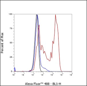 CD5 Recombinant Mouse Monoclonal Antibody
