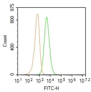 CD45 Rabbit Polyclonal Antibody