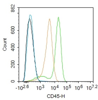 CD45 Rabbit Polyclonal Antibody