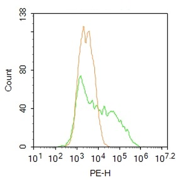 BST2 Rabbit Polyclonal Antibody