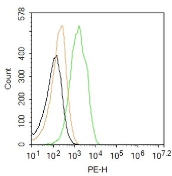 CD163 Rabbit Polyclonal Antibody (PE)