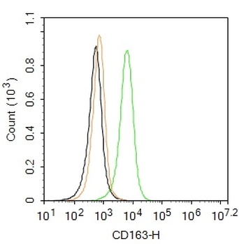 CD163 Rabbit Polyclonal Antibody (PE)