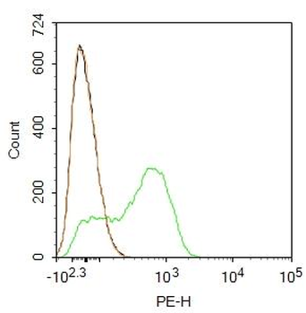 CD4 Rabbit Polyclonal Antibody (PE)