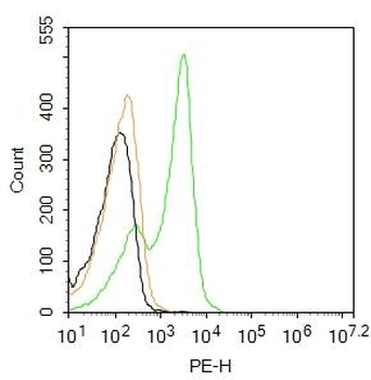 CD4 Rabbit Polyclonal Antibody (PE)