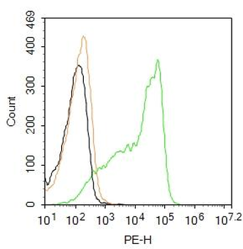 CD8 Rabbit Polyclonal Antibody (PE)