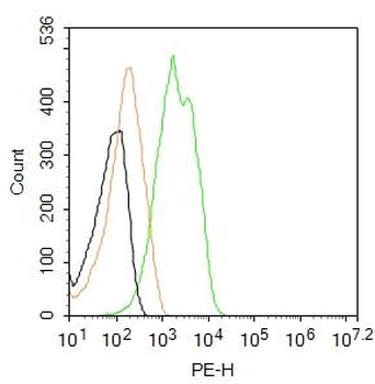 Glucocorticoid receptor Rabbit Polyclonal Antibody (PE)