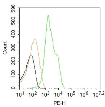 Glucocorticoid receptor Rabbit Polyclonal Antibody (PE)