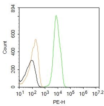 Integrin beta 1 Rabbit Polyclonal Antibody (PE)