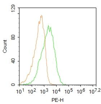 Integrin beta 1 Rabbit Polyclonal Antibody (PE)