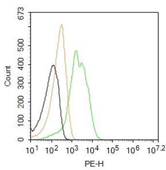 Leptin receptor Rabbit pAb, PE conjugated