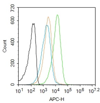 UBE2Q1 Rabbit Polyclonal Antibody