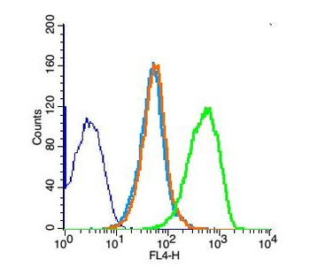 UBE2Q1 Rabbit Polyclonal Antibody