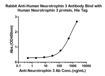 Neurotrophin 3 Rabbit Polyclonal Antibody