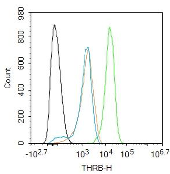 THRB Rabbit Polyclonal Antibody