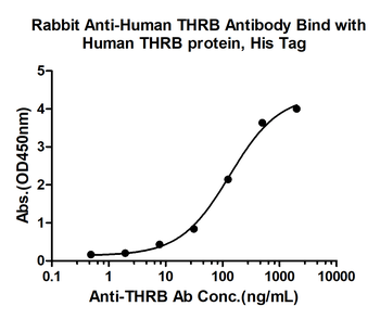 THRB Rabbit Polyclonal Antibody