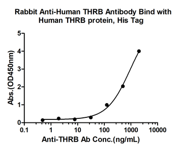 THRB Rabbit Polyclonal Antibody