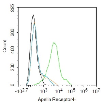 Apelin Receptor Rabbit Polyclonal Antibody