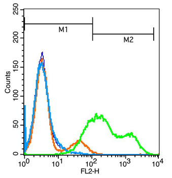 ICOS ligand Rabbit Polyclonal Antibody
