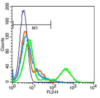 CD226 Rabbit Polyclonal Antibody