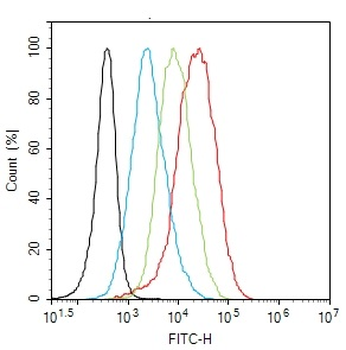 SLAMF9 Rabbit Polyclonal Antibody