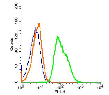 SLAMF9 Rabbit Polyclonal Antibody