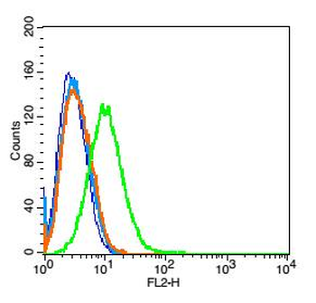 CD9 Rabbit Polyclonal Antibody