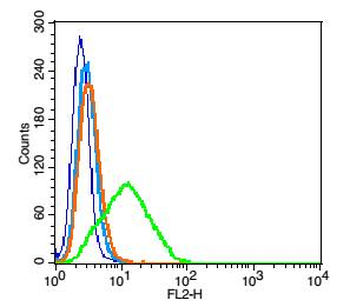 CD9 Rabbit Polyclonal Antibody