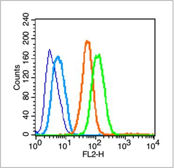 CD44 Rabbit Polyclonal Antibody