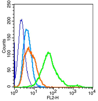 Glypican 4 Rabbit Polyclonal Antibody