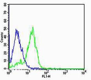GRM1 Rabbit Polyclonal Antibody