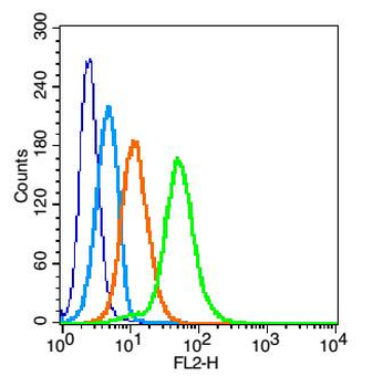 IL3RA Rabbit Polyclonal Antibody
