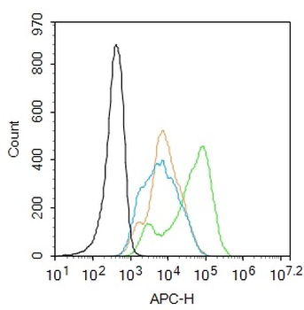 Polycystin 1 Rabbit Polyclonal Antibody