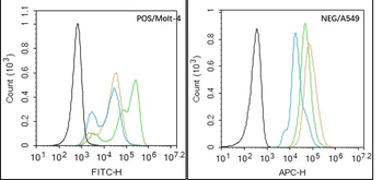 SV2A Rabbit Polyclonal Antibody