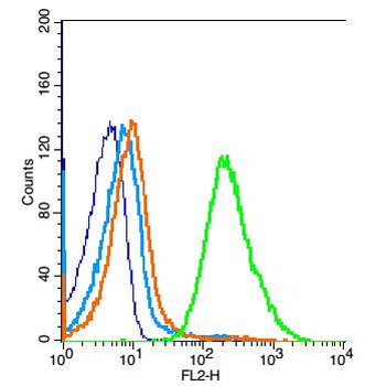 TLR1 Rabbit Polyclonal Antibody