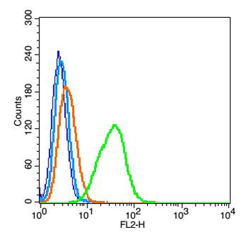 VEGFR3 Rabbit Polyclonal Antibody
