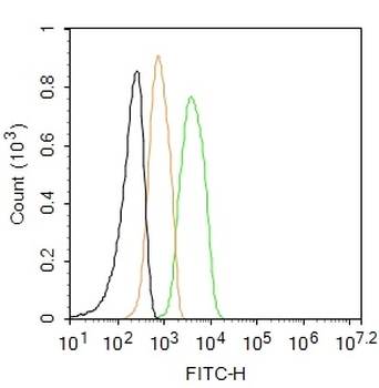 CD44 Rabbit Polyclonal Antibody (FITC)
