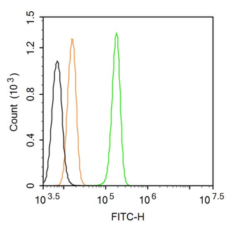 LAMP3 Rabbit Polyclonal Antibody (FITC)