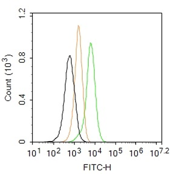 TLR1 Rabbit Polyclonal Antibody (FITC)