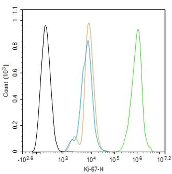Ki67 Recombinant Rabbit Monoclonal Antibody
