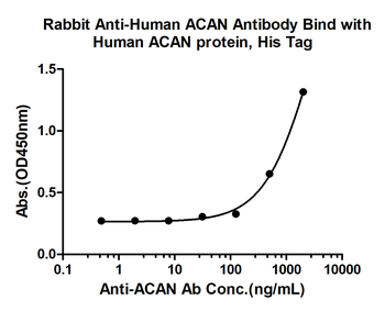 ACAN Rabbit Polyclonal Antibody