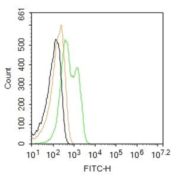 RAGE Rabbit Polyclonal Antibody (FITC)