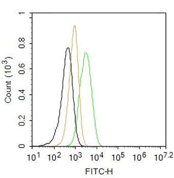 RAGE Rabbit Polyclonal Antibody (FITC)