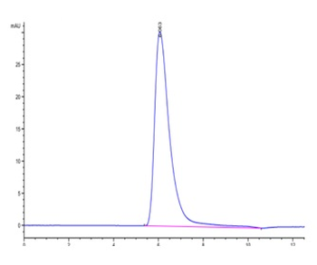 Recombinant human TGFBR1 protein, C-mFc-Avi (HEK293)
