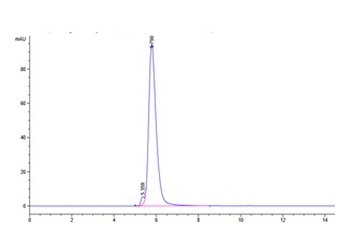 Recombinant human TGFBR2 protein, N-hFc (HEK293)