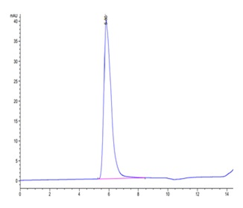 Recombinant human LIF R protein, C-hFc (HEK293)
