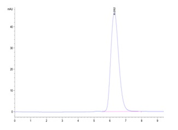 Recombinant human IL-13RA1 protein, C-hFc (HEK293)